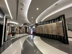 Mount Elizabeth Hospital (D9), Retail #454695651